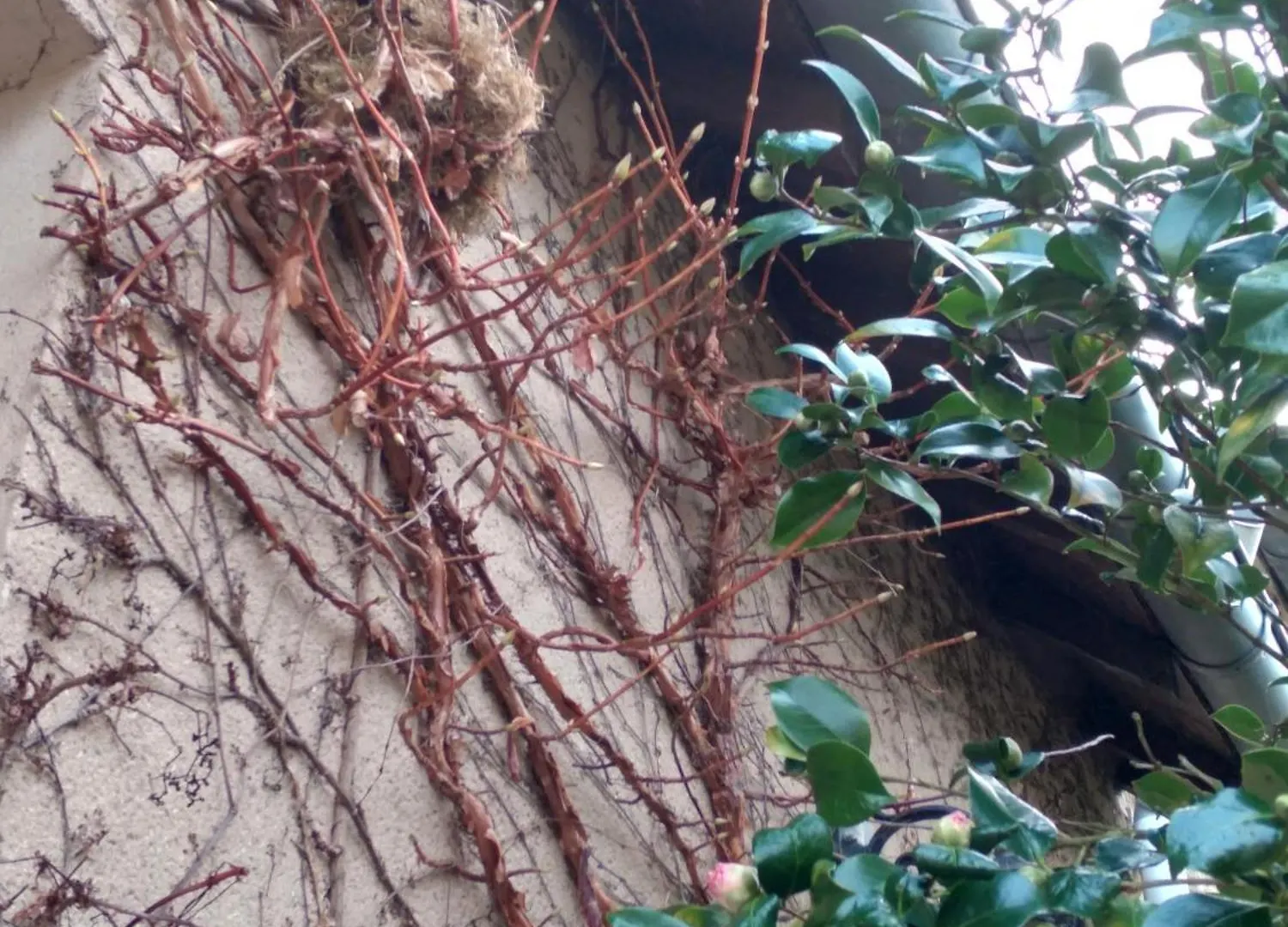 Maison Kaoz Korriganez La Boussac